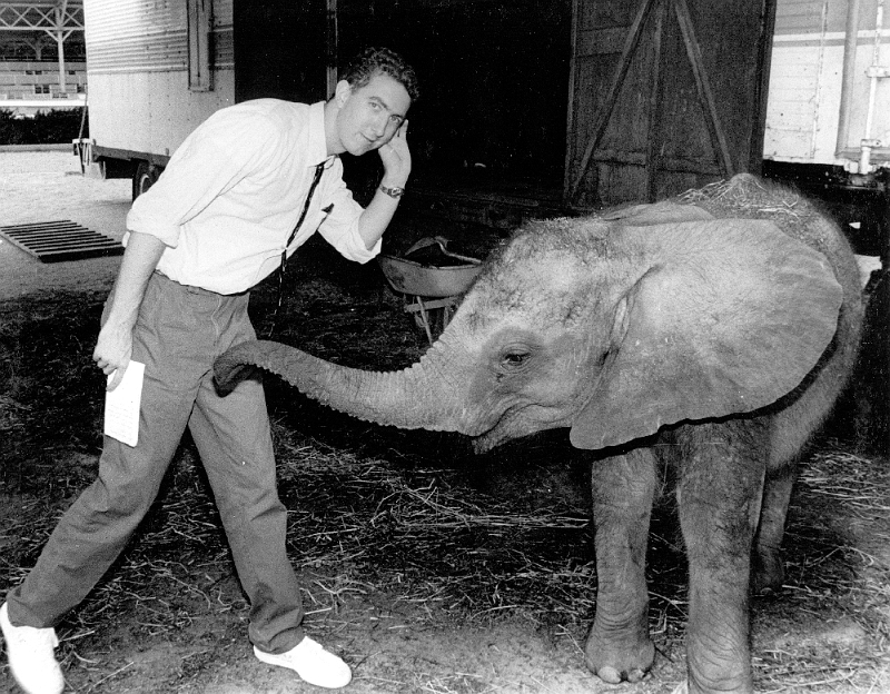 Frank and Elephant 